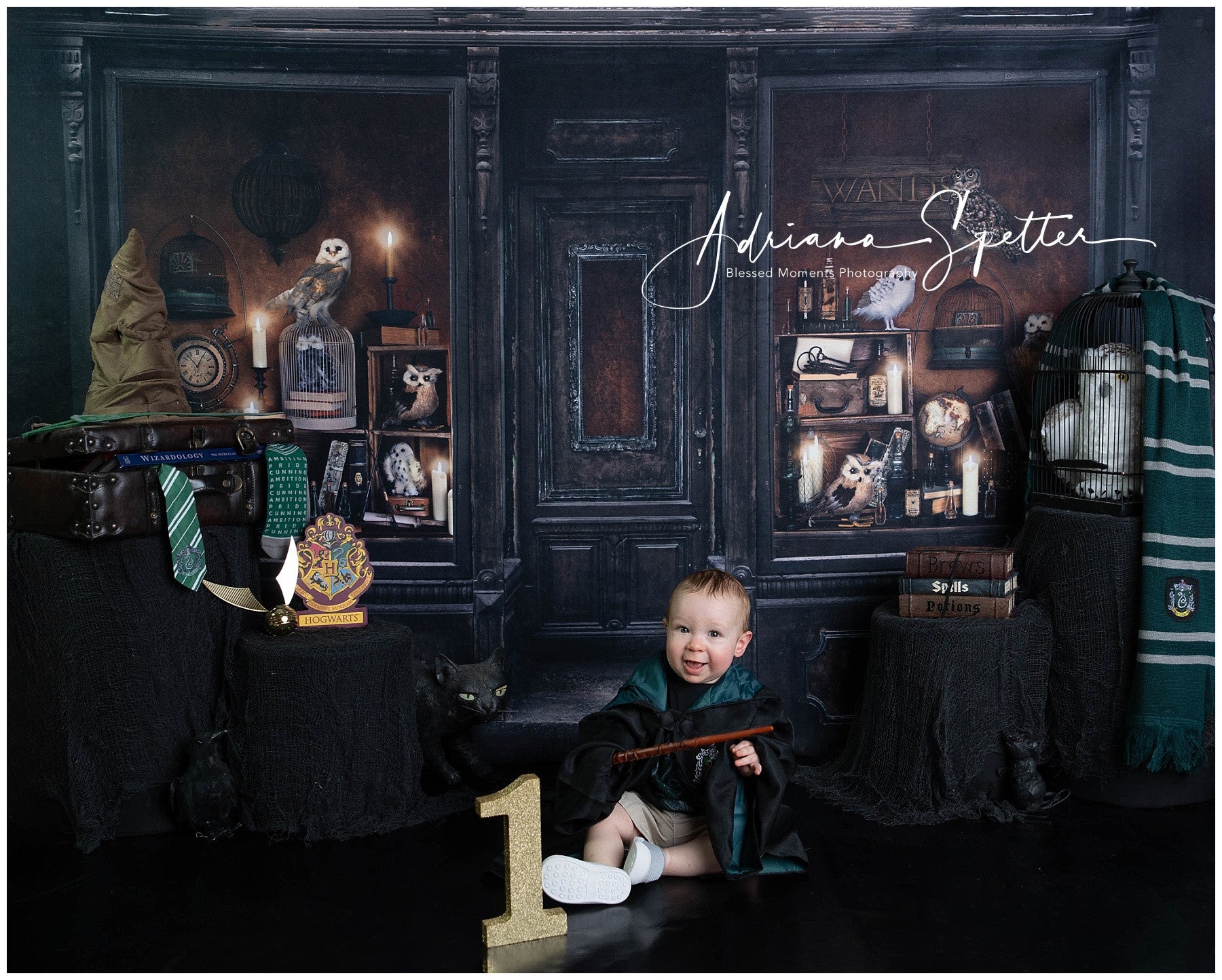 Halloween Backdrop Magical Wizard Shop Window Halloween Photo Backdrop UK MRR10-23