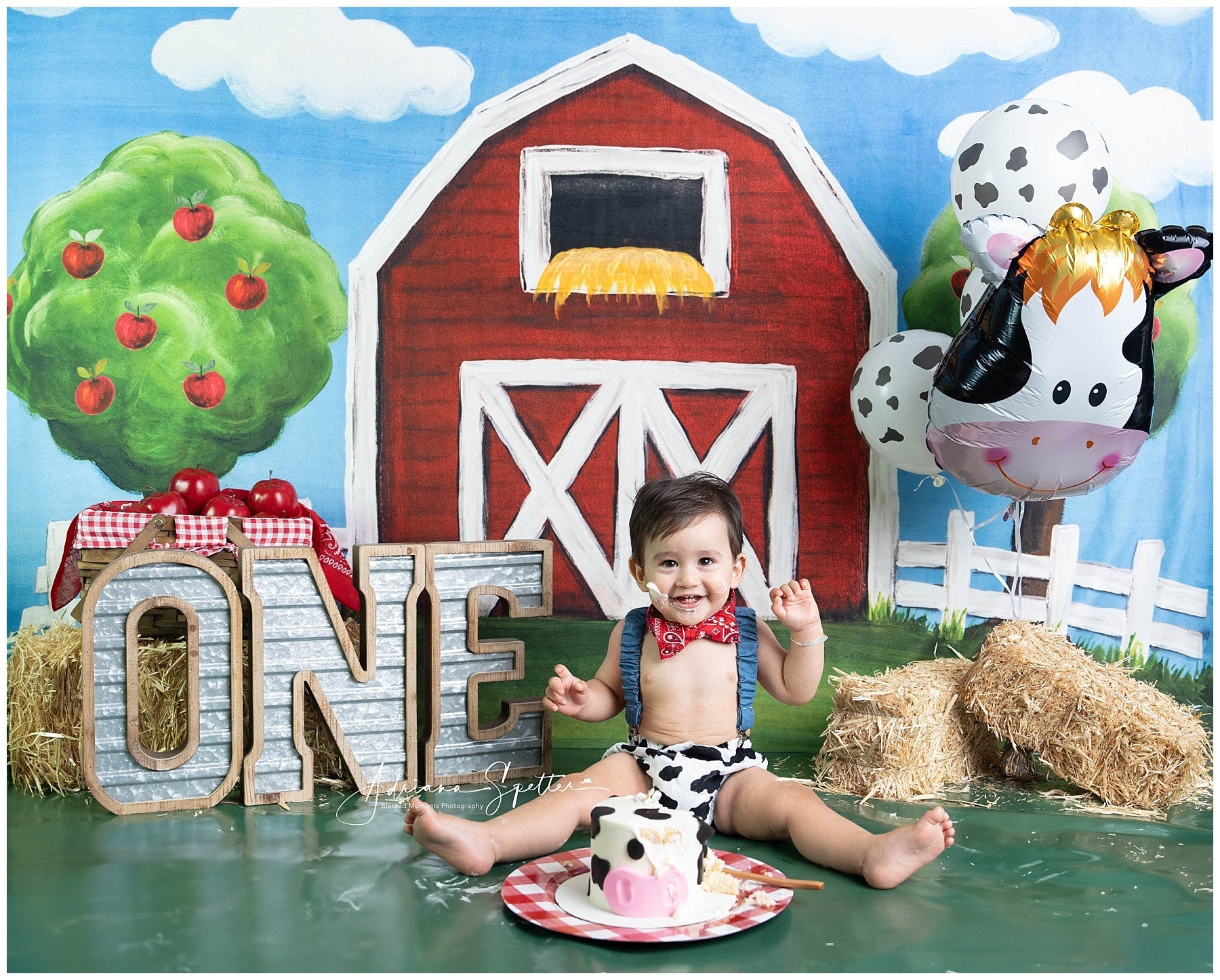 Cake Smash Backdrops Red Barn Apple Trees Birthday Photo Backdrop UK MRR10-17