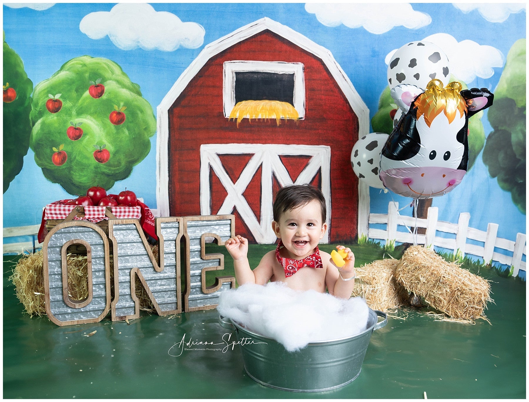 Cake Smash Backdrops Red Barn Apple Trees Birthday Photo Backdrop UK MRR10-17