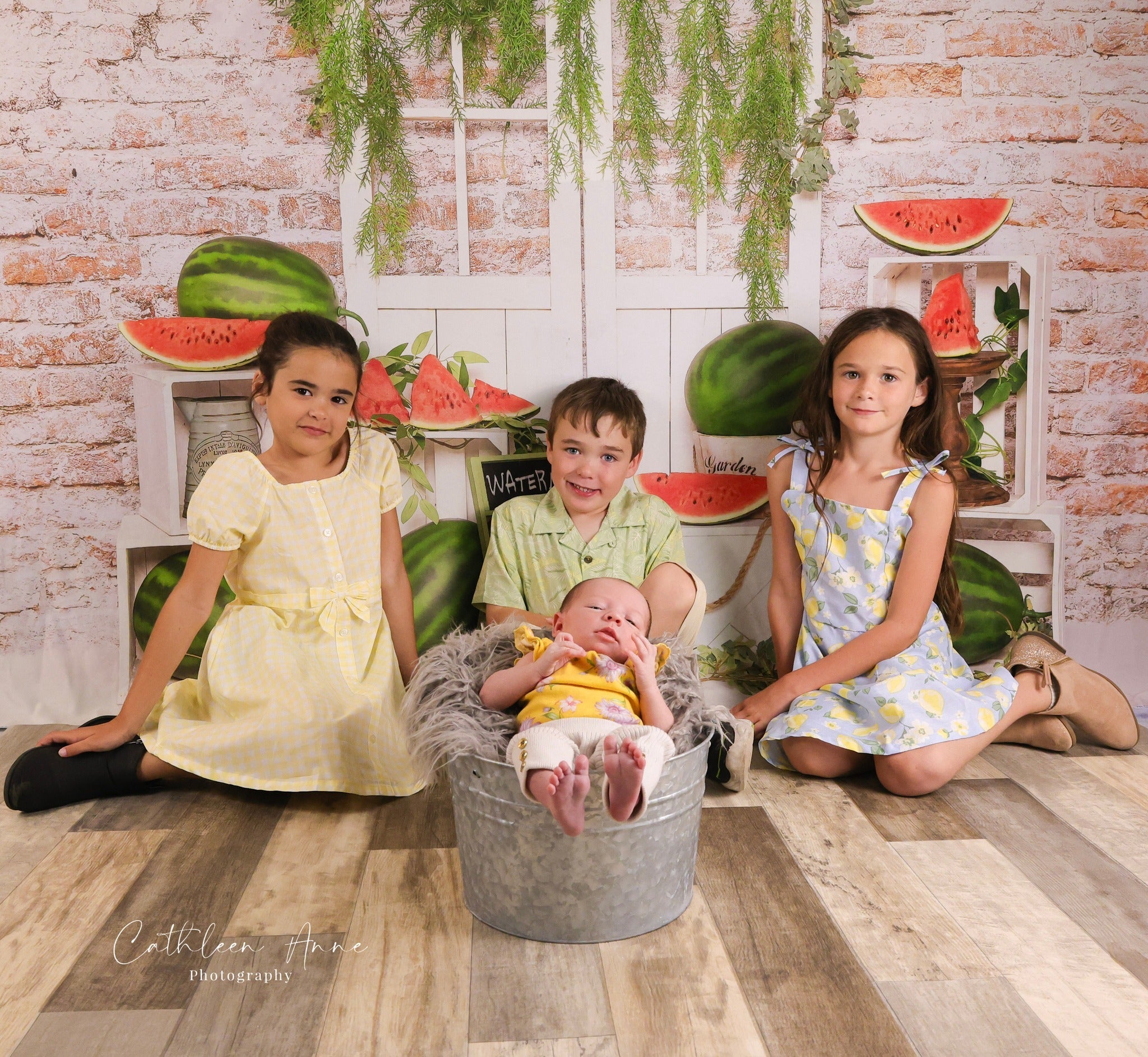 Watermelon Backdrop Brick Wall Wood Door Display Summer Backdrop UK MRR9-80