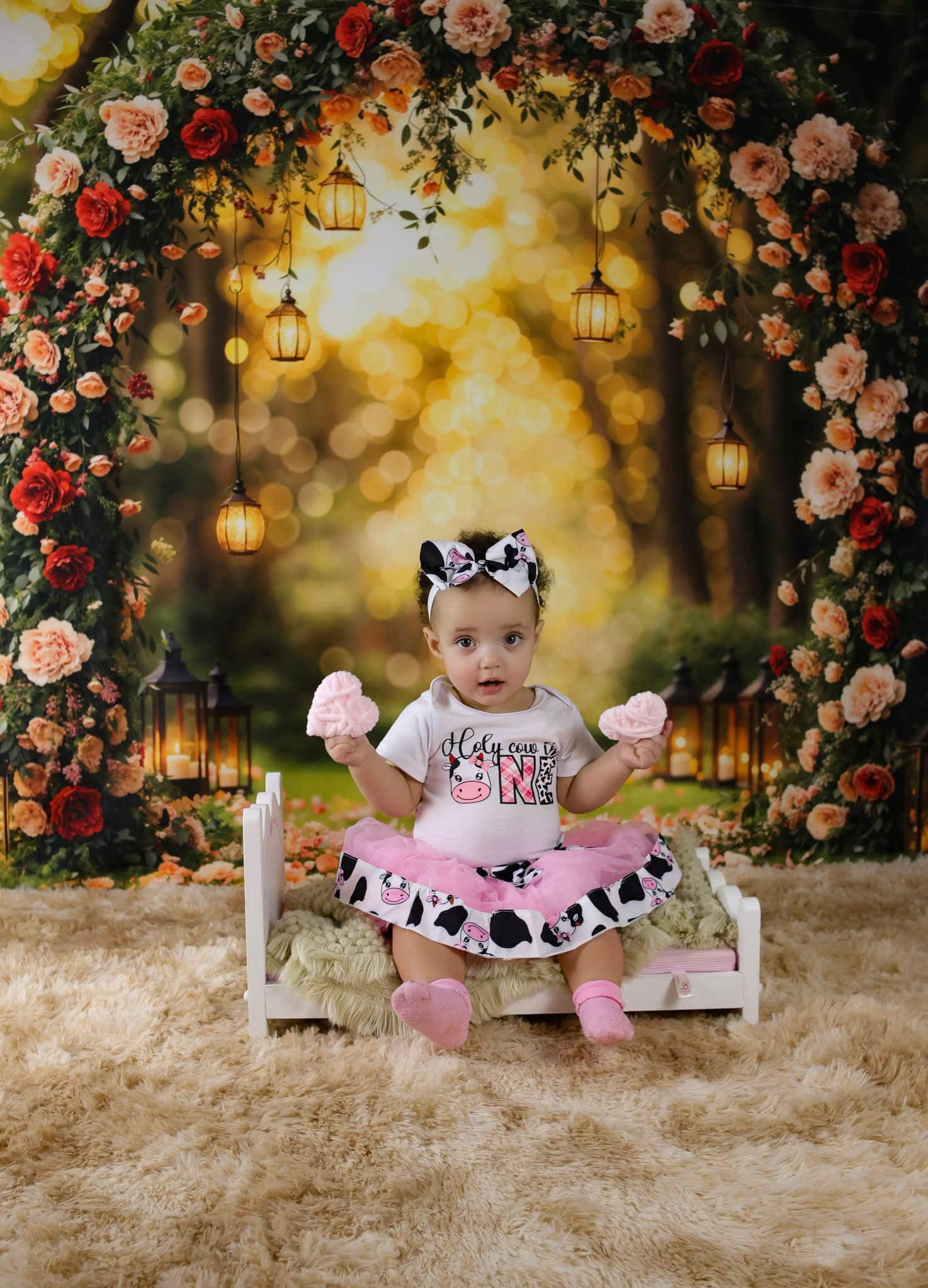 Flower Backdrop Romantic Rose Arch Lanterns Floral Photo Backdrop UK MRR9-81
