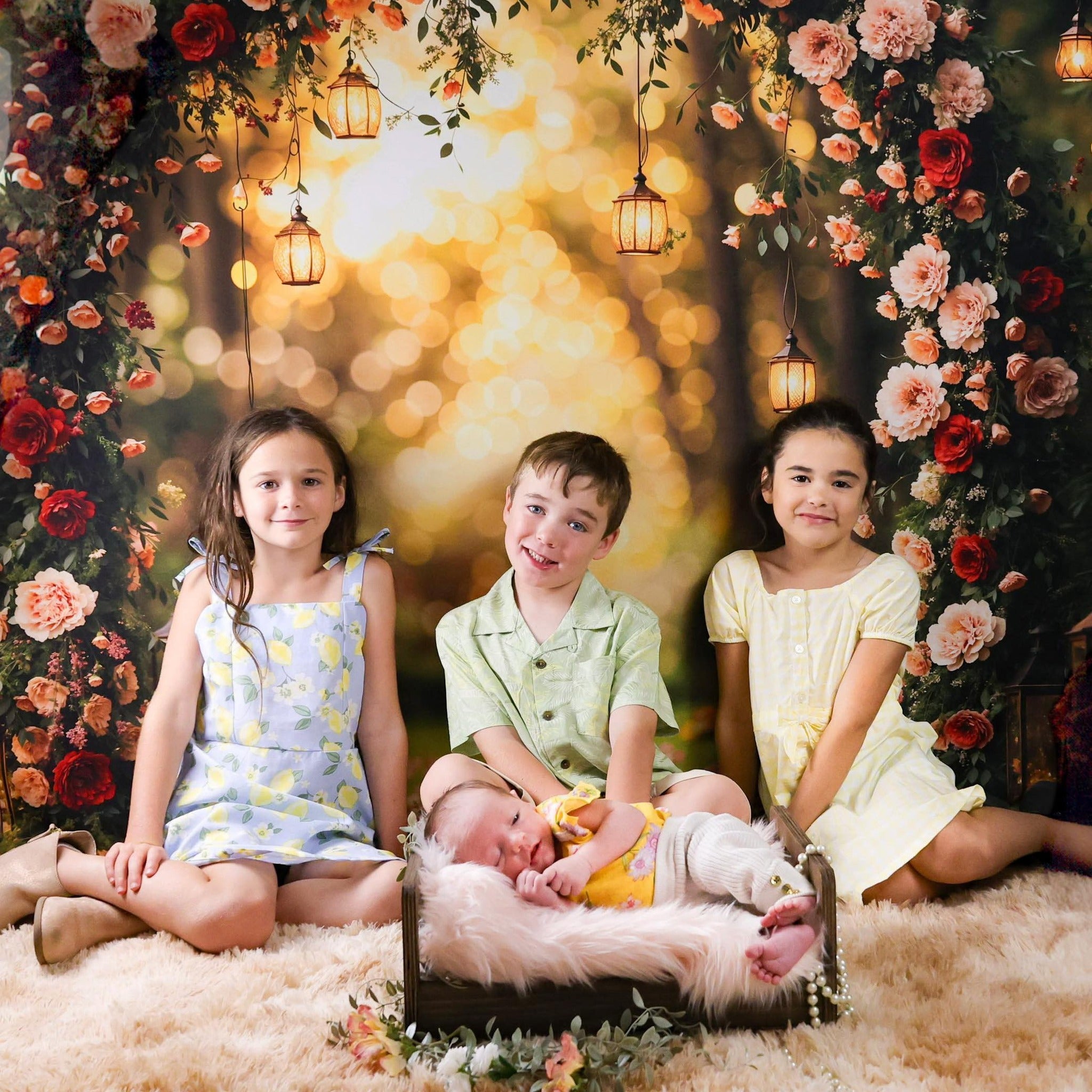 Flower Backdrop Romantic Rose Arch Lanterns Floral Photo Backdrop UK MRR9-81