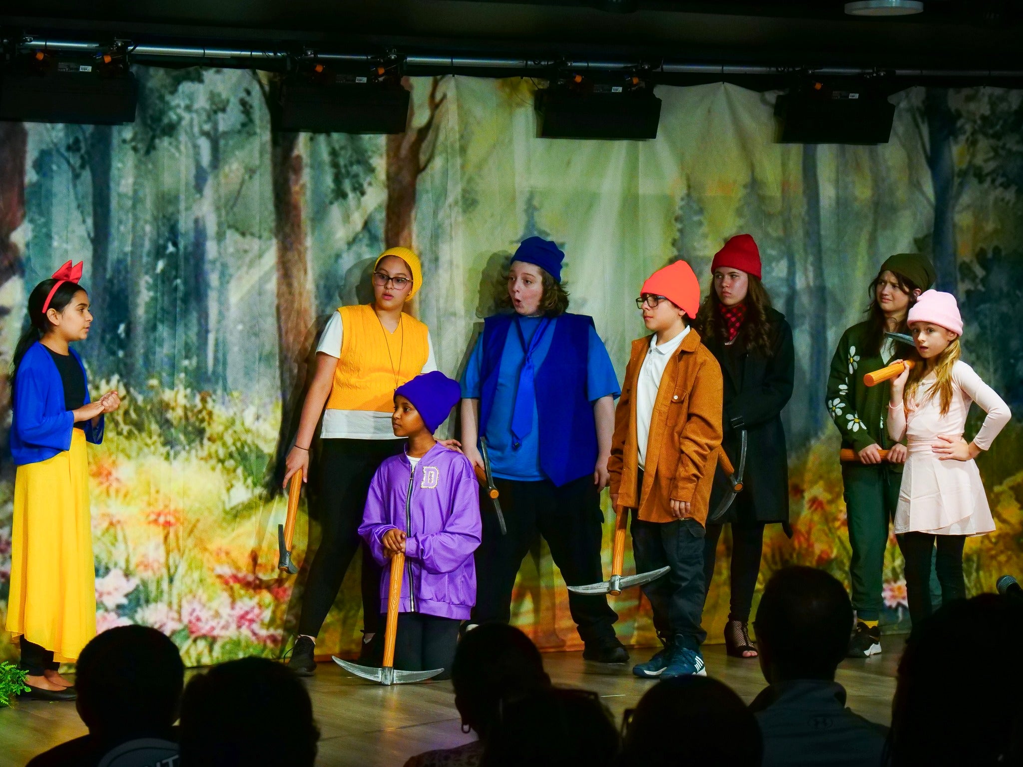 Custom Theater Backdrop UK  Service CT1