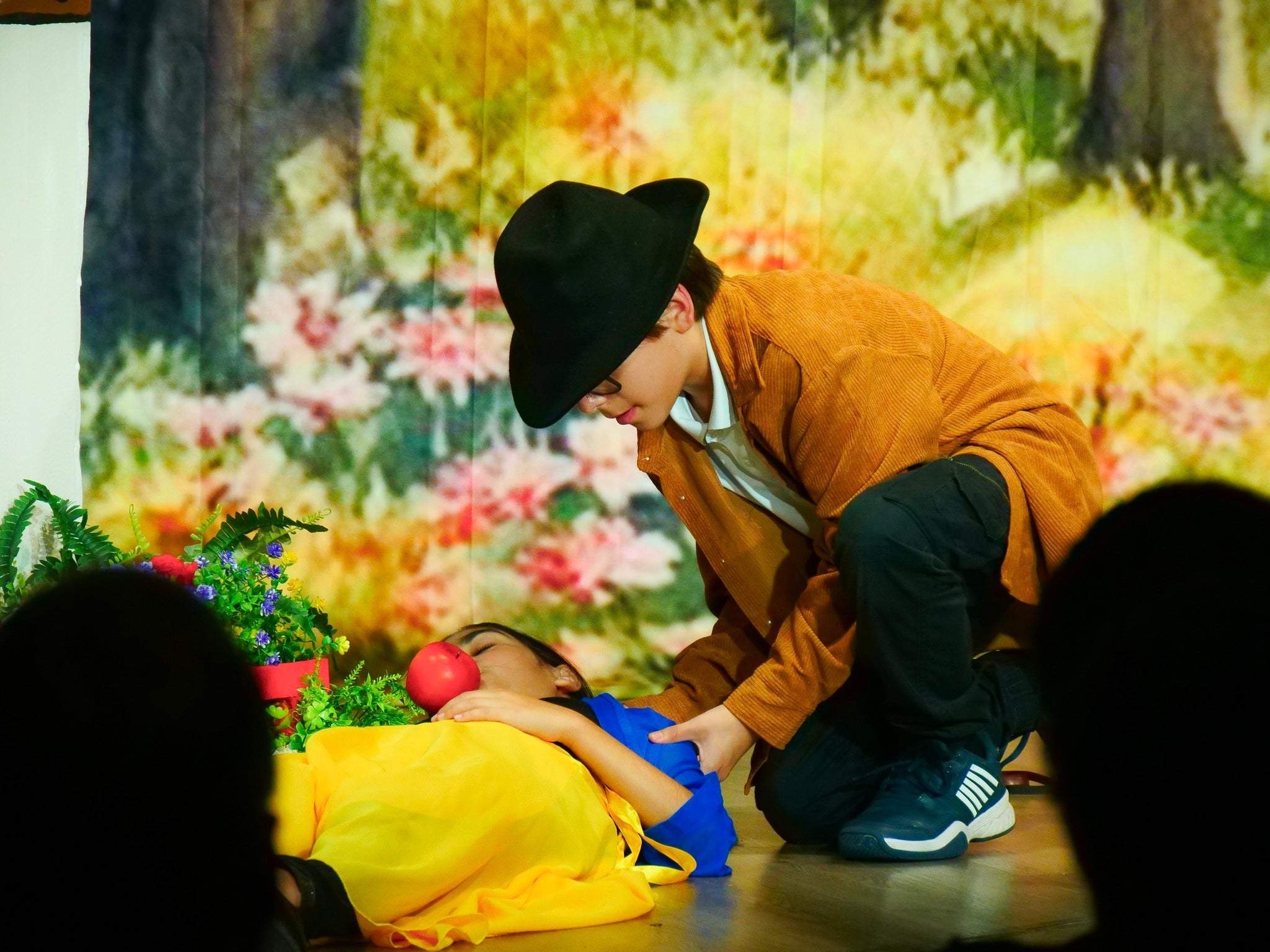 Custom Theater Backdrop UK  Service CT1