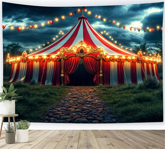 Circus Themed Photo Backdrop Carnival Tent Night Backdrop UK BRP1-181