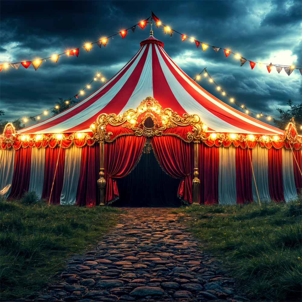 Circus Themed Photo Backdrop Carnival Tent Night Backdrop UK BRP1-181