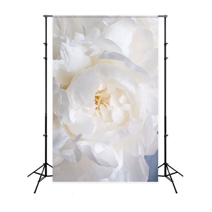 Floral Photography Backdrops White Peony Blossom Backdrop UK BRP1-385