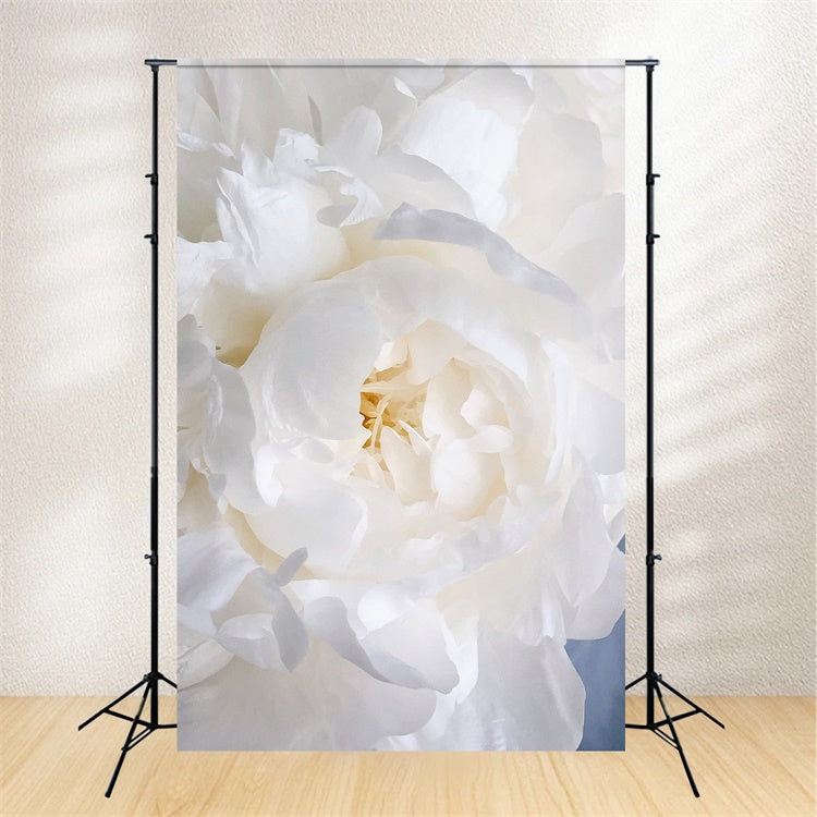 Floral Photography Backdrops White Peony Blossom Backdrop UK BRP1-385