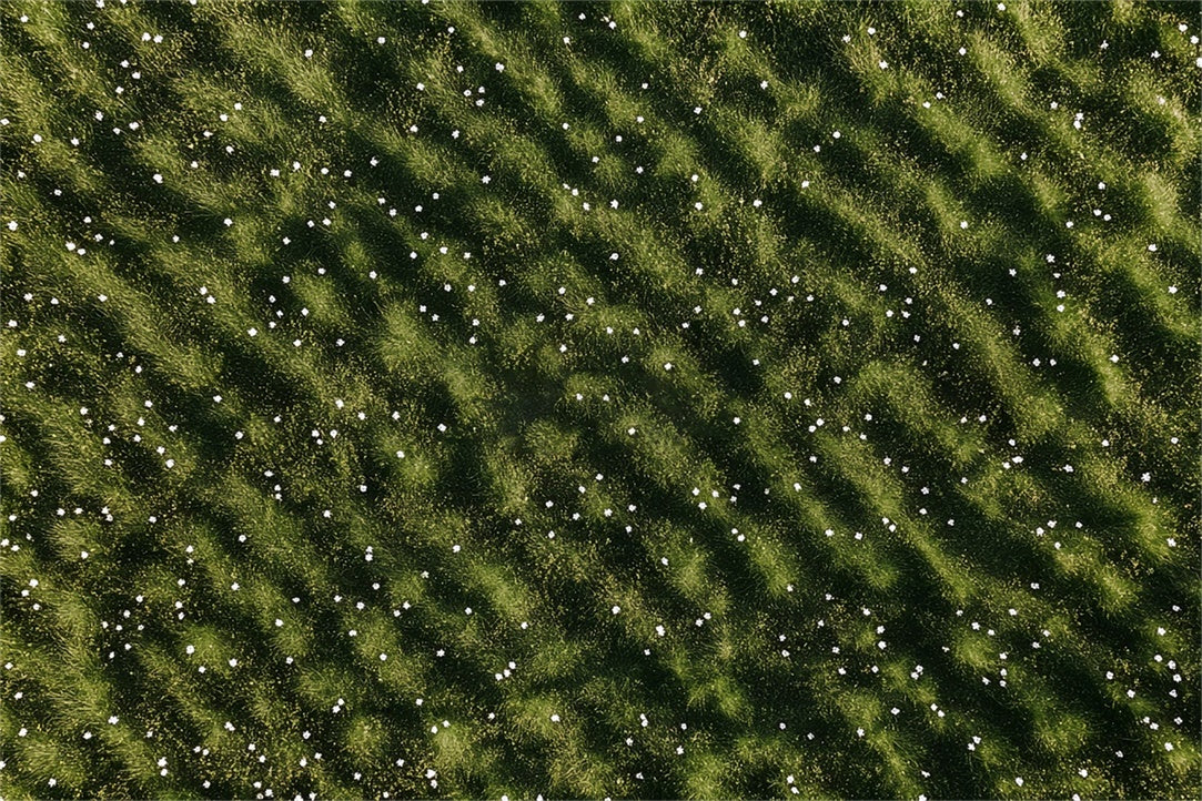 Backdrop Floor Rippling Grass White Flowers Floor Backdrop UK BRP1-44