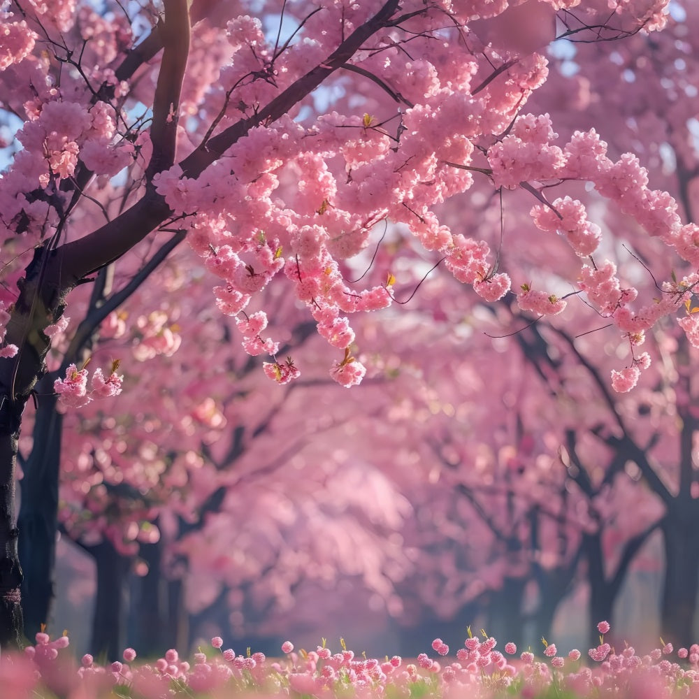 Floral Backdrops Cherry Blossom Pathway Photography Backdrop UK BRP1-519