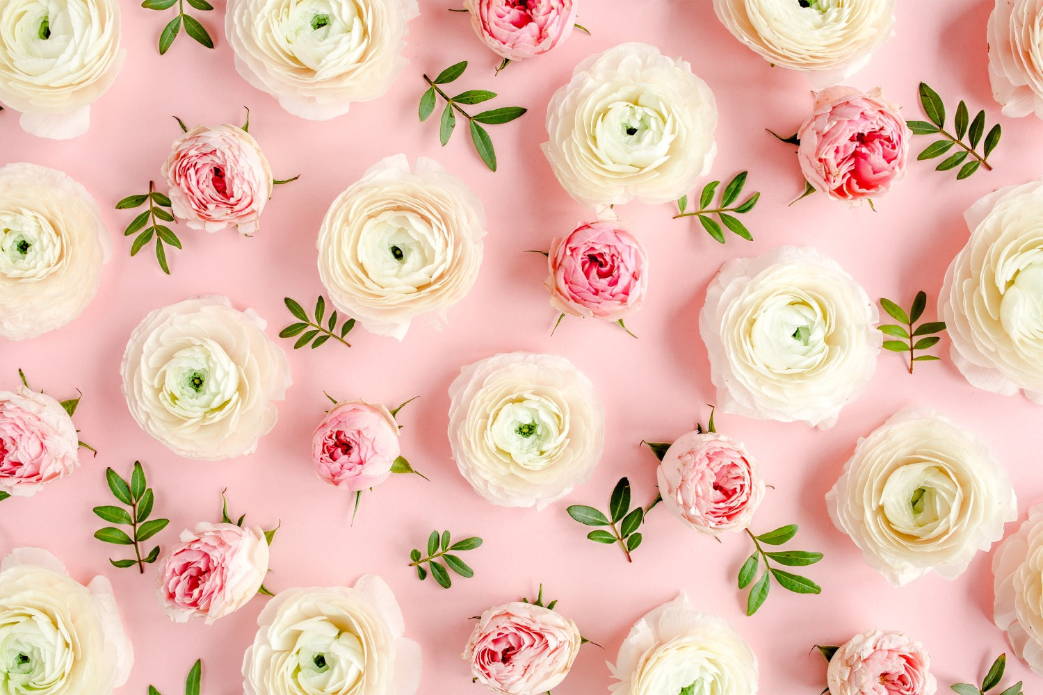 Flower Photo Backdrop Pink White Roses Backdrop UK BRP1-521