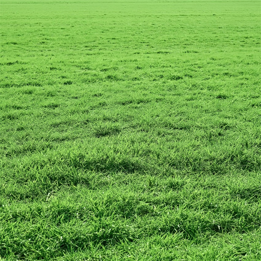 Floor Backdrop Photography Vibrant Lush Meadow Floor Backdrop UK BRP1-524