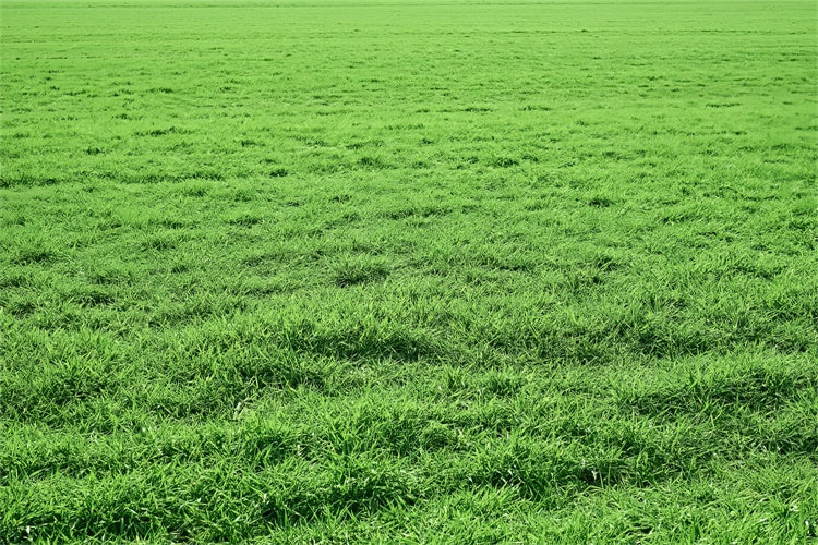 Floor Backdrop Photography Vibrant Lush Meadow Floor Backdrop UK BRP1-524