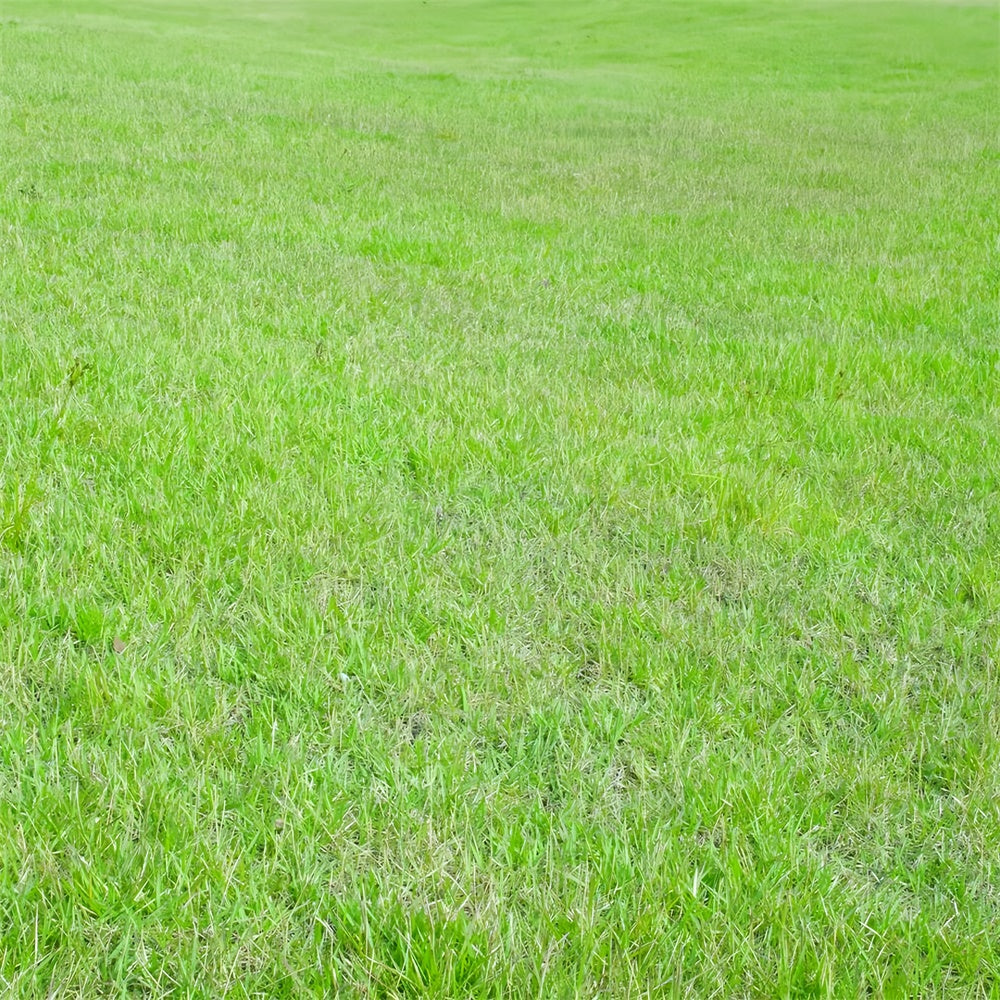 Photo Backdrop Floor Lively Green Grass Field Floor Backdrop UK BRP1-527