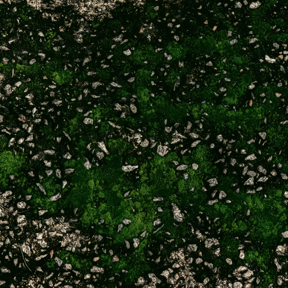 Photography Backdrop Floor Gravel Moss Green Floor Backdrop UK BRP1-530