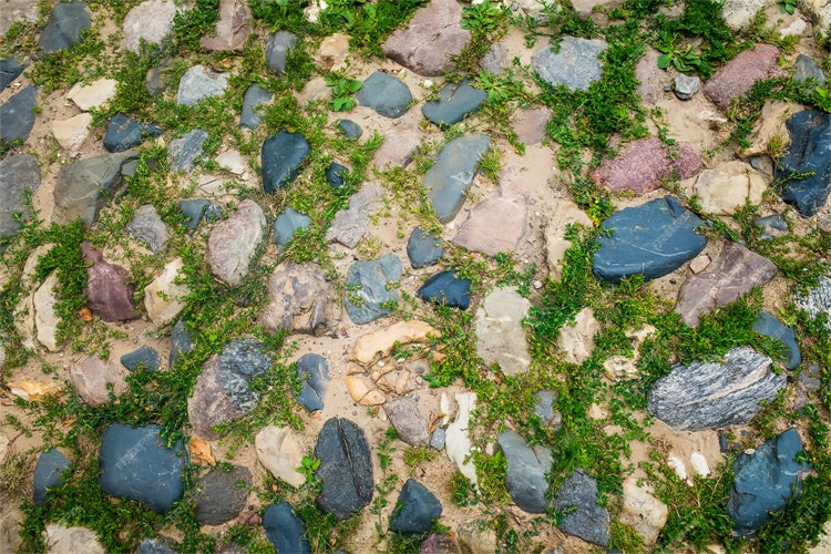 Floor Backdrop Green Moss Stone Path Floor Backdrop UK BRP1-531