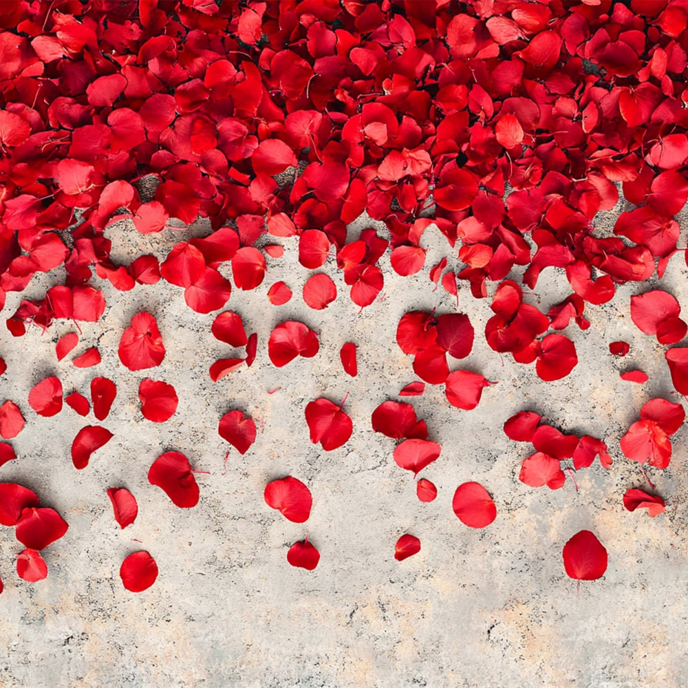 Photography Floor Backdrops Rose Petal Concrete Floor Backdrop UK BRP1-553