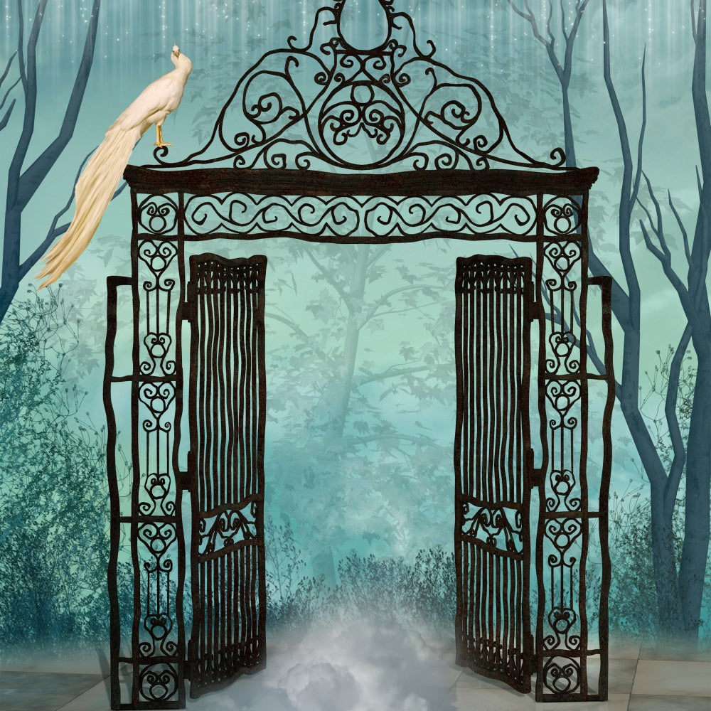 Halloween Backdrop Backdrops Spooky Gate Foggy Atmosphere Backdrop UK BRP10-177