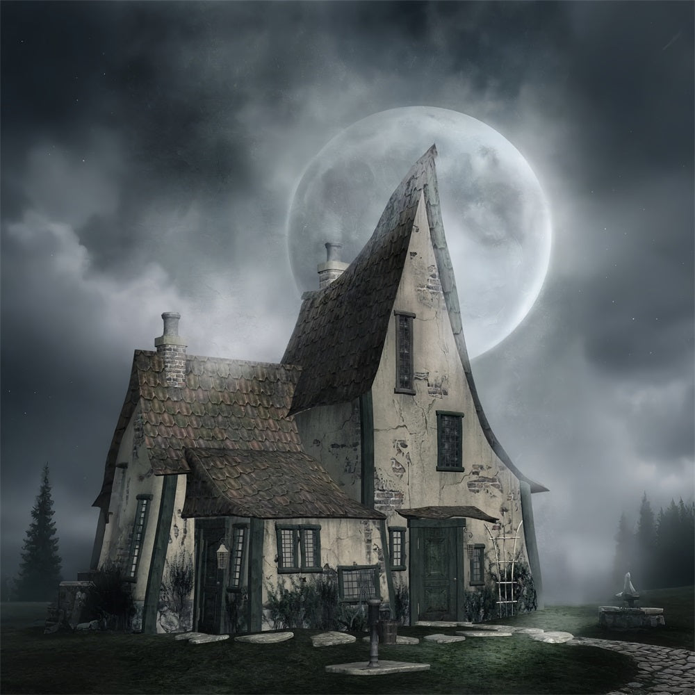 Backdrop For Halloween Haunted House Misty Moonlight Backdrop UK BRP10-221