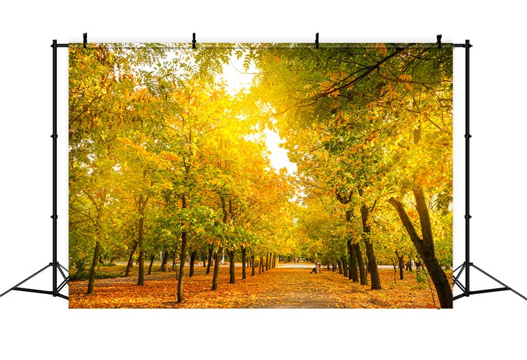 Fall Leaves Background Autumn Trees Golden Backdrop UK BRP10-234