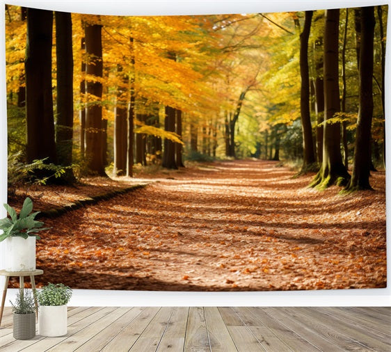 Fall Backdrop Autumn Forest Park Path Scenic Backdrop UK BRP10-235