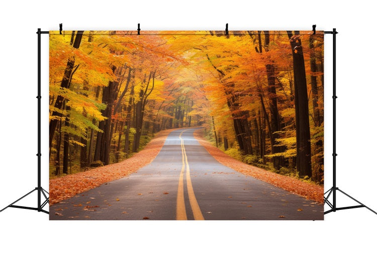 Fall Background Scenic Fall Forest Driveway Road Backdrop UK BRP10-236