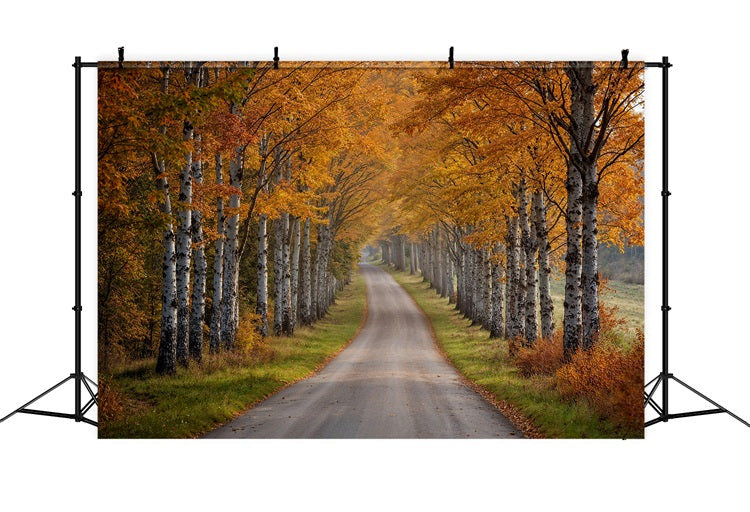 Fall Photo Backdrop Birch Tree Pathway Scene Backdrop UK BRP10-237