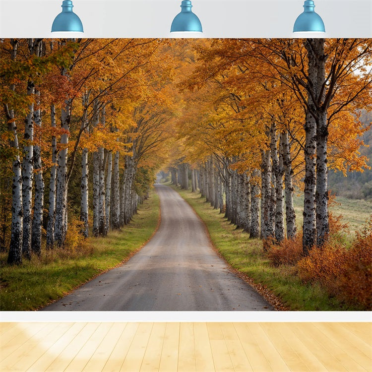 Fall Photo Backdrop Birch Tree Pathway Scene Backdrop UK BRP10-237