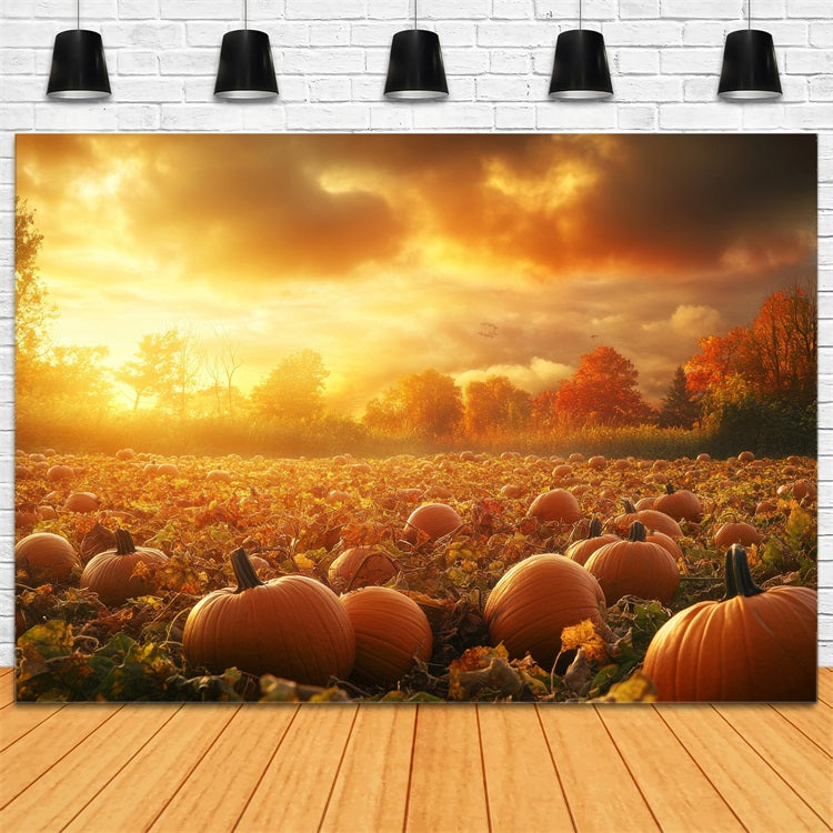 Fall Backdrops Sunset Glow Pumpkin Patch Backdrop UK BRP10-242