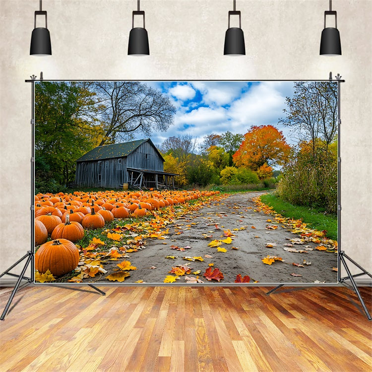 Autumn Background Rustic Farmhouse Pumpkin Patch Backdrop UK BRP10-250