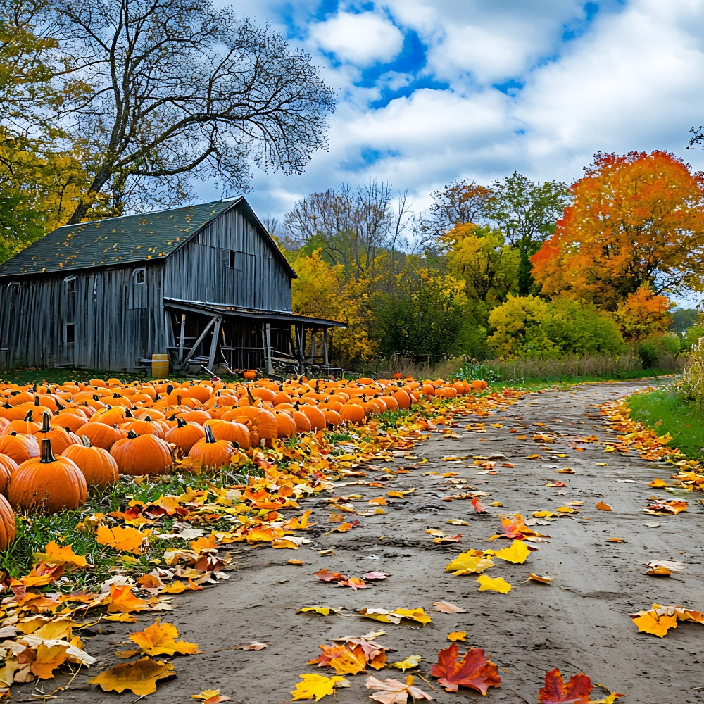 Autumn Background Rustic Farmhouse Pumpkin Patch Backdrop UK BRP10-250