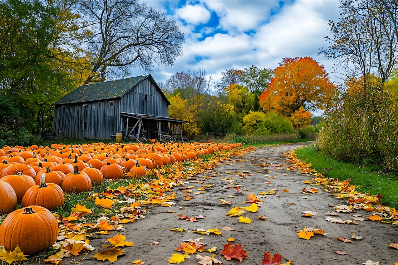 Autumn Background Rustic Farmhouse Pumpkin Patch Backdrop UK BRP10-250