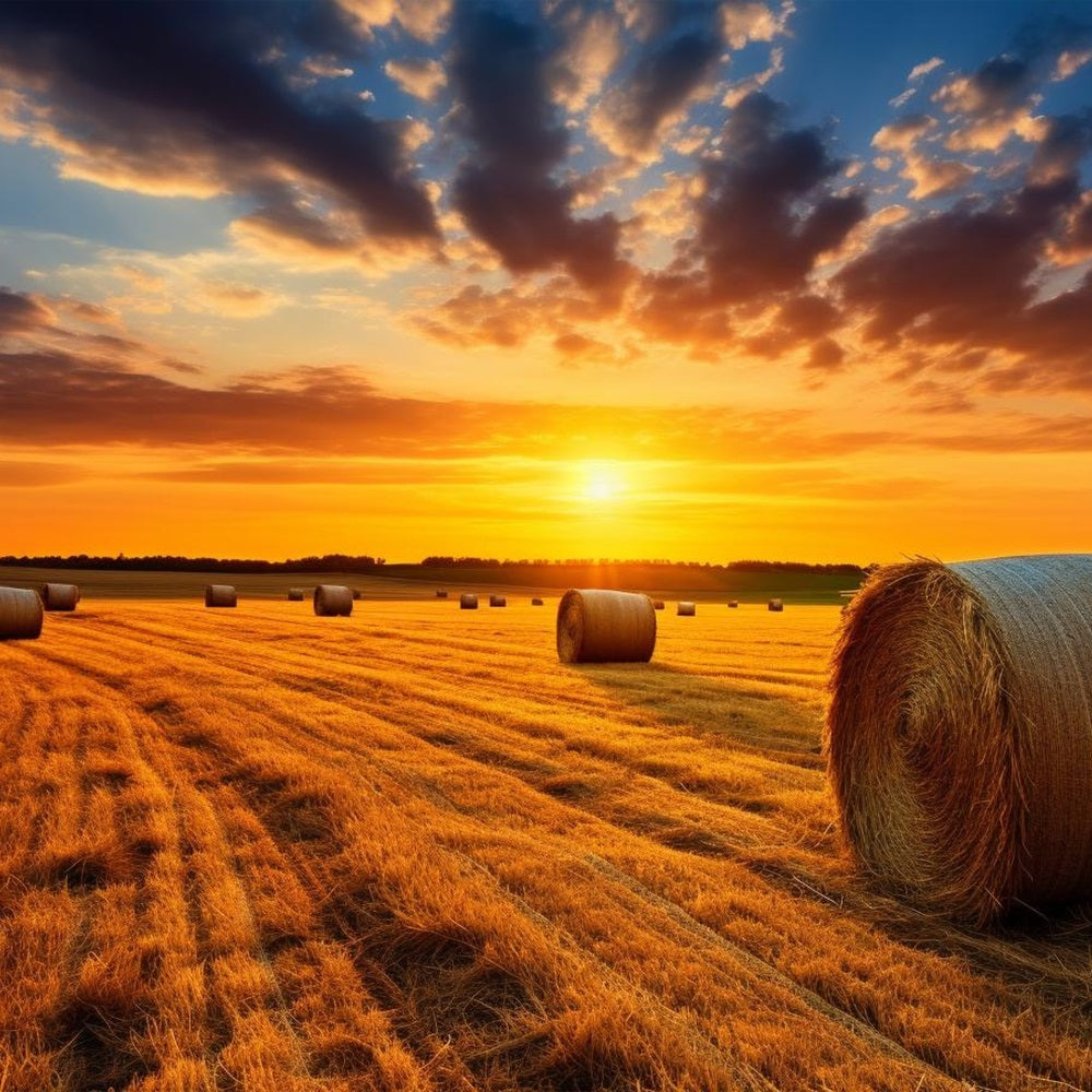 Fall Backdrop Sunset Harvest Hay Bales Backdrop UK BRP10-253