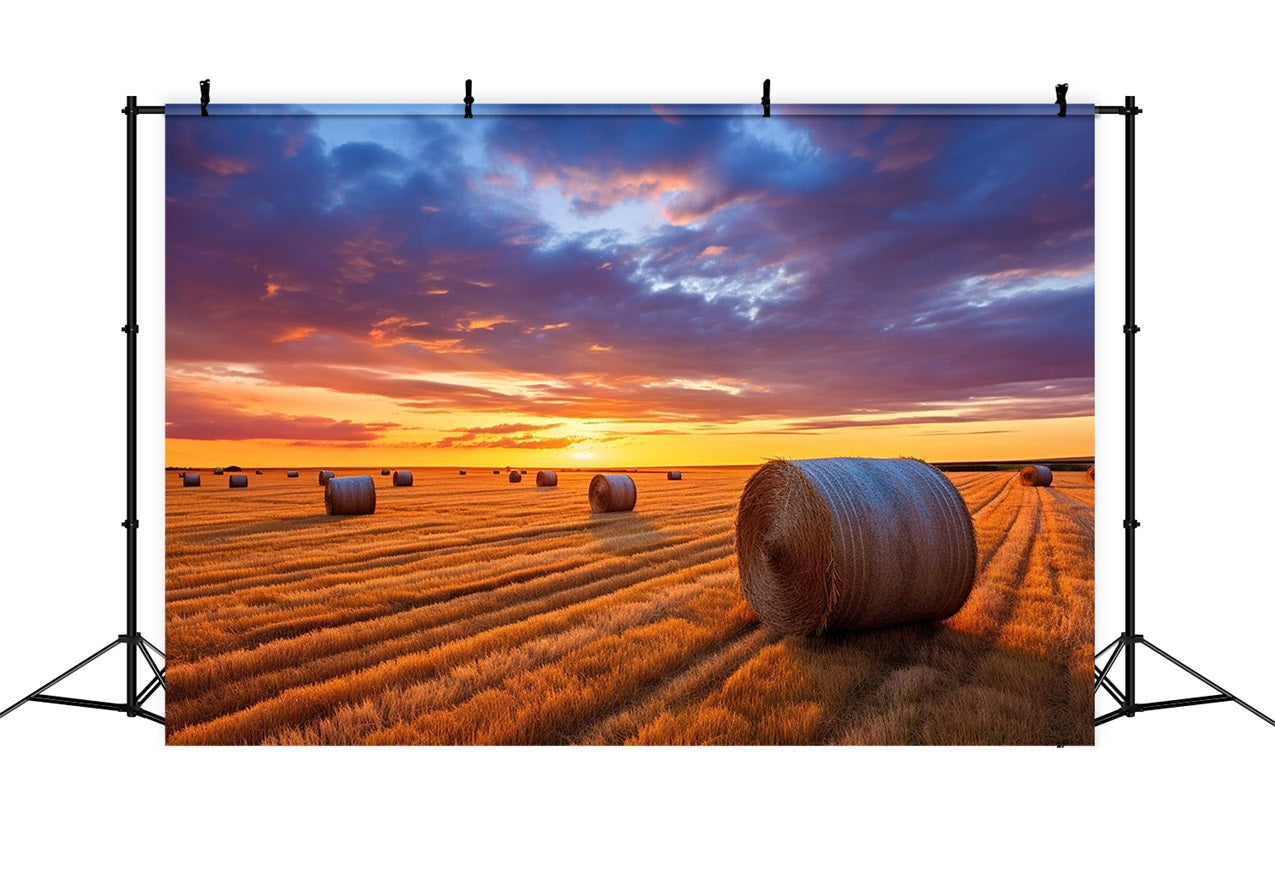 Fall Photo Backdrop Hay Bales Twilight Backdrop UK BRP10-254