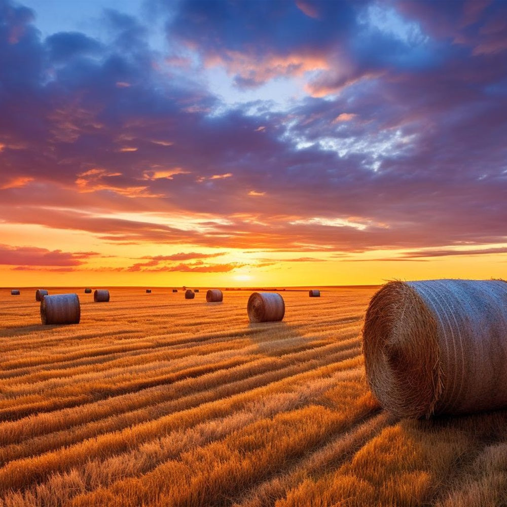 Fall Photo Backdrop Hay Bales Twilight Backdrop UK BRP10-254