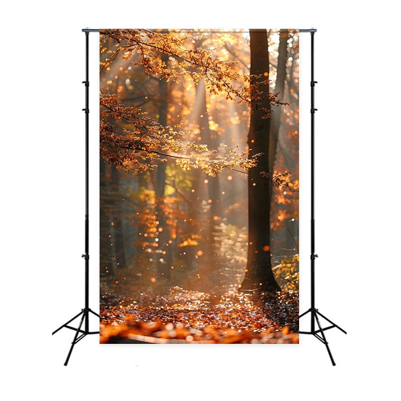 Autumn Photo Backdrops Forest Shimmering Sunbeams Backdrop UK BRP10-263