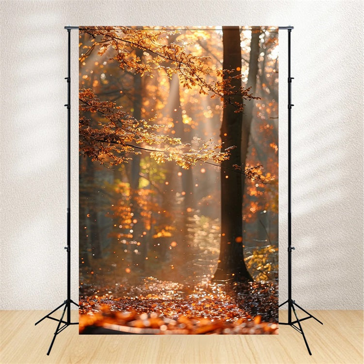 Autumn Photo Backdrops Forest Shimmering Sunbeams Backdrop UK BRP10-263