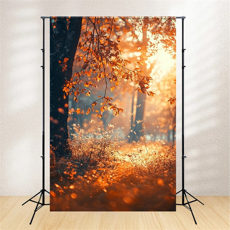 Fall Season Backdrop Sunbeam Trees Photo Backdrop UK BRP10-265