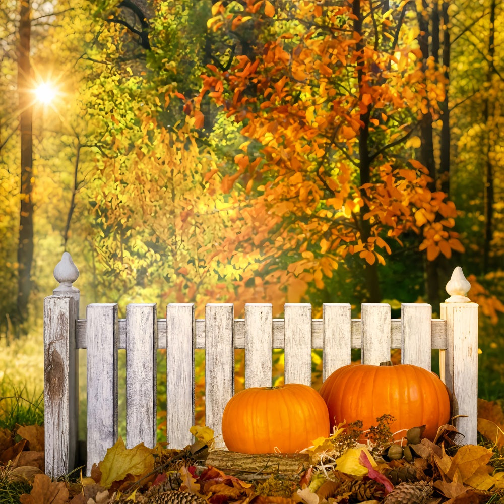 Fall Picture Backdrops Rustic Fence Pumpkins Backdrop UK BRP10-266