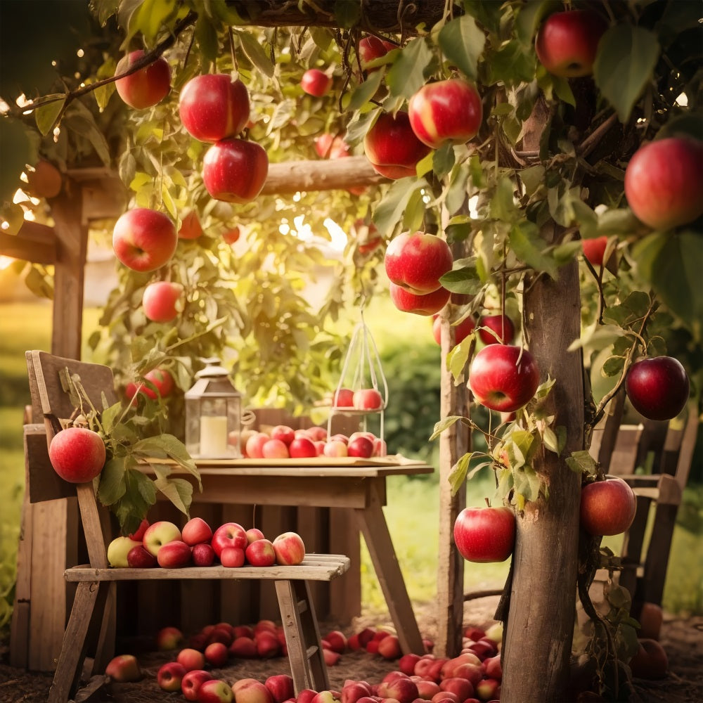 Fall Harvest Backdrop Orchard Apples Scene Backdrop UK BRP10-267