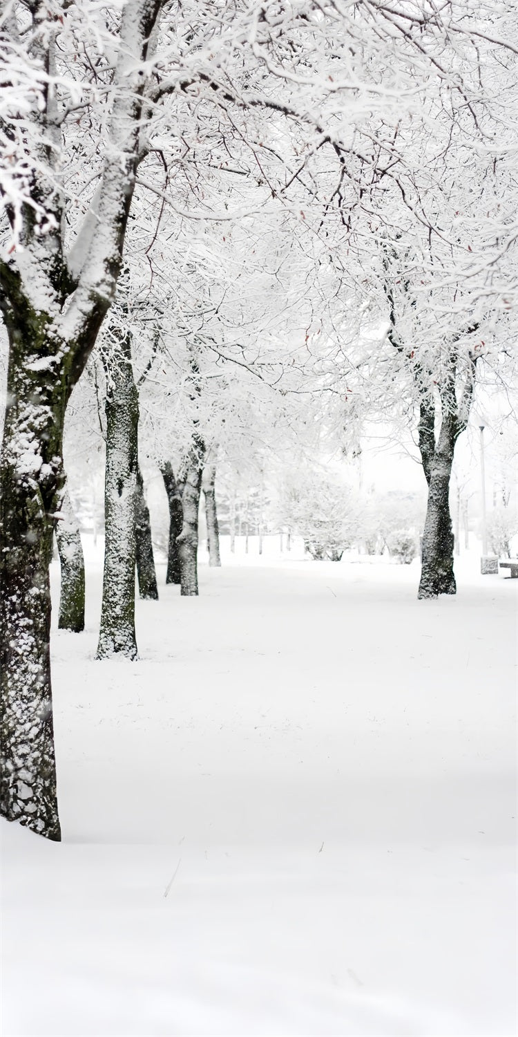 Winter Wonderland Sweep Park Frosted Trees Backdrop UK BRP10-518