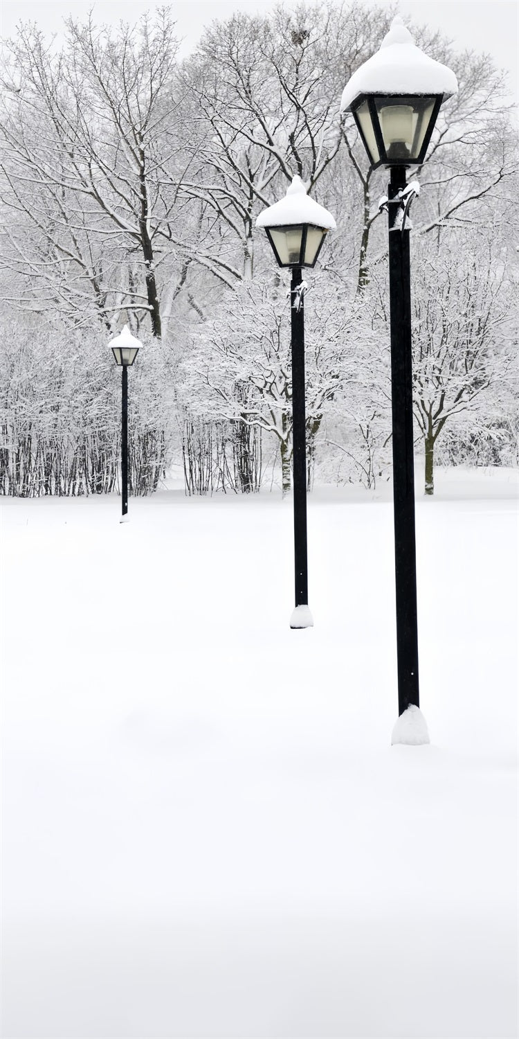 Winter Snowy Sweep Street Lamp Scene Backdrop UK BRP10-519