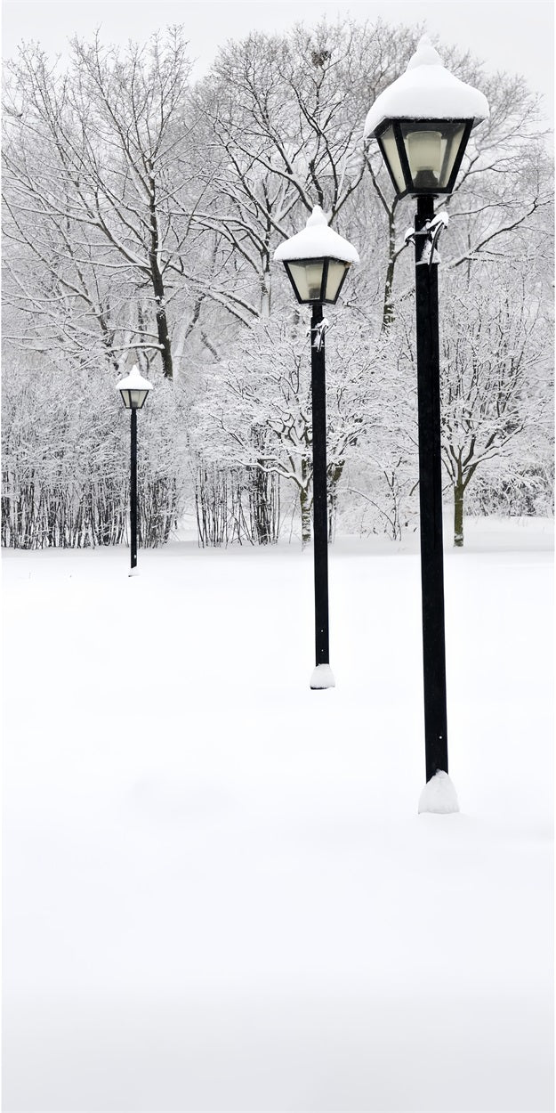 Winter Snowy Sweep Street Lamp Scene Backdrop UK BRP10-519