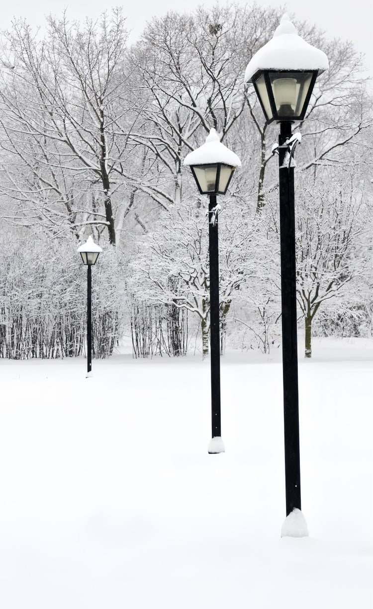 Winter Snowy Sweep Street Lamp Scene Backdrop UK BRP10-519