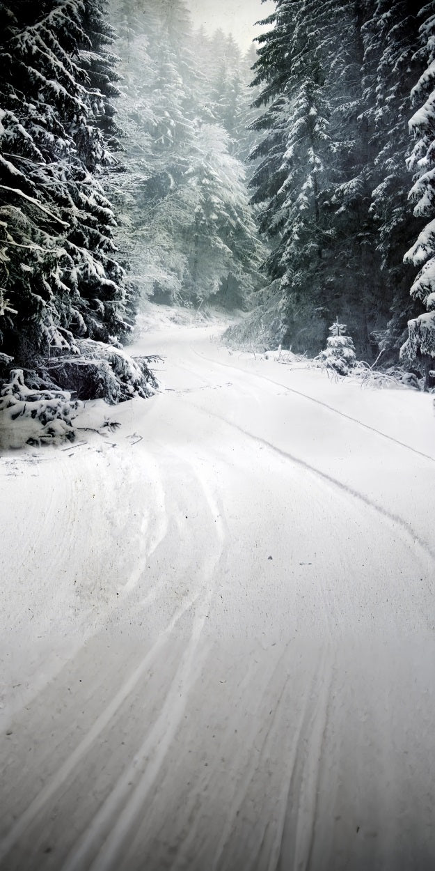 Winter Forest Sweep Serene Snow Path Backdrop UK BRP10-520