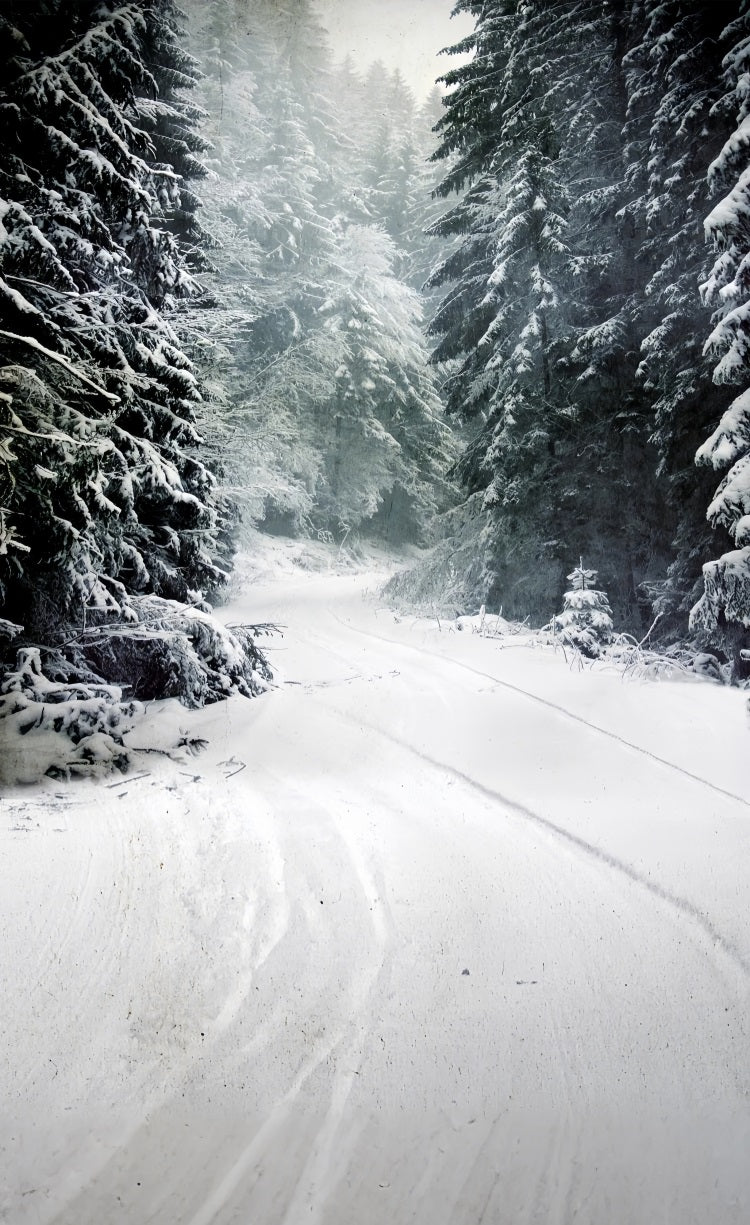 Winter Forest Sweep Serene Snow Path Backdrop UK BRP10-520