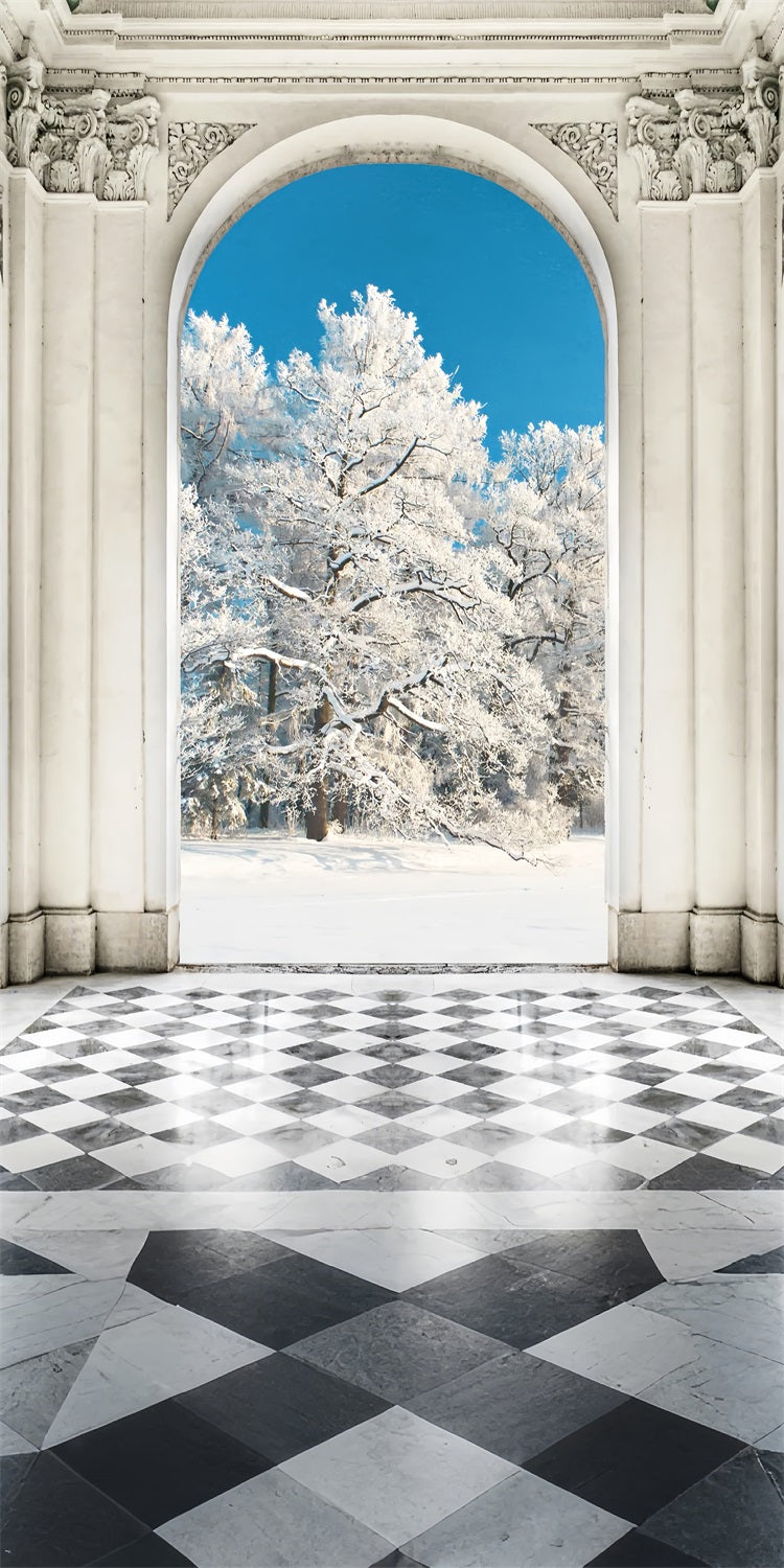 Grand Arch Sweep Snowy Forest Backdrop UK BRP10-536