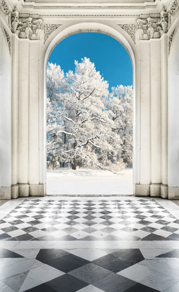 Grand Arch Sweep Snowy Forest Backdrop UK BRP10-536