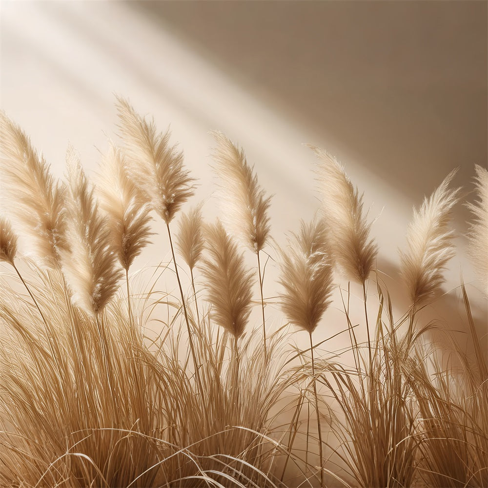 Simple Boho Soft Pampas Decor Backdrop UK BRP10-72