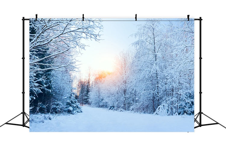 Winter Wonderland Backdrop Snowy Landscape Sunlight Backdrop UK BRP11-1